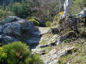 photo coins arrondis